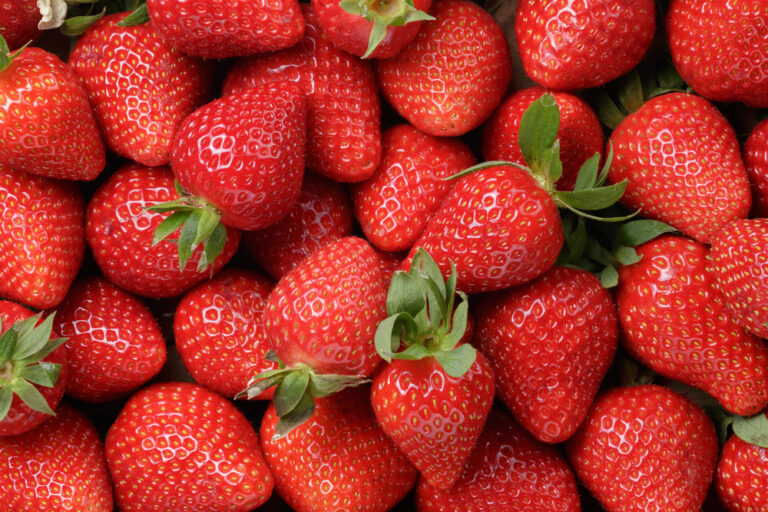 10 Lekkere Weetjes over Aardbeien