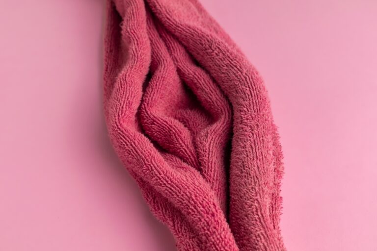 10 Weetjes over de Vulva