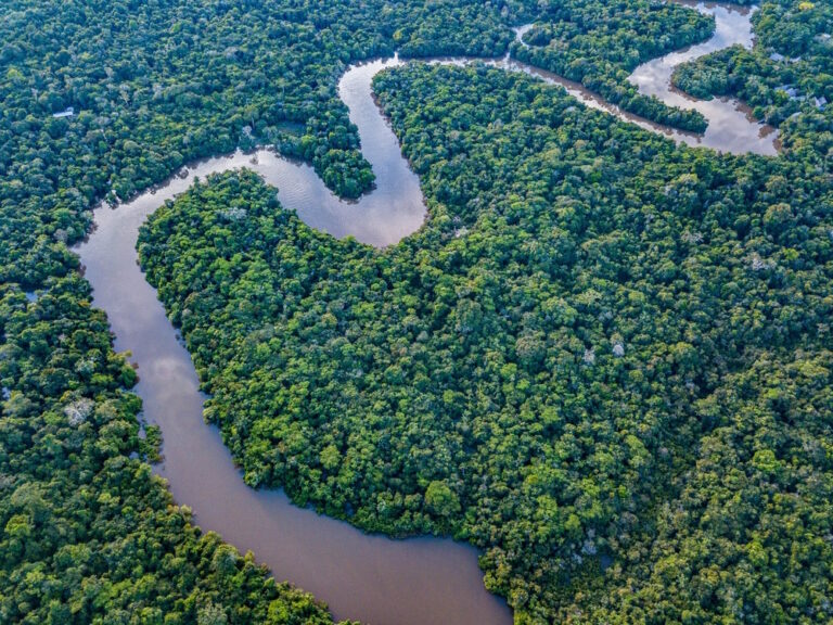 15 Weetjes over de machtige Amazone rivier