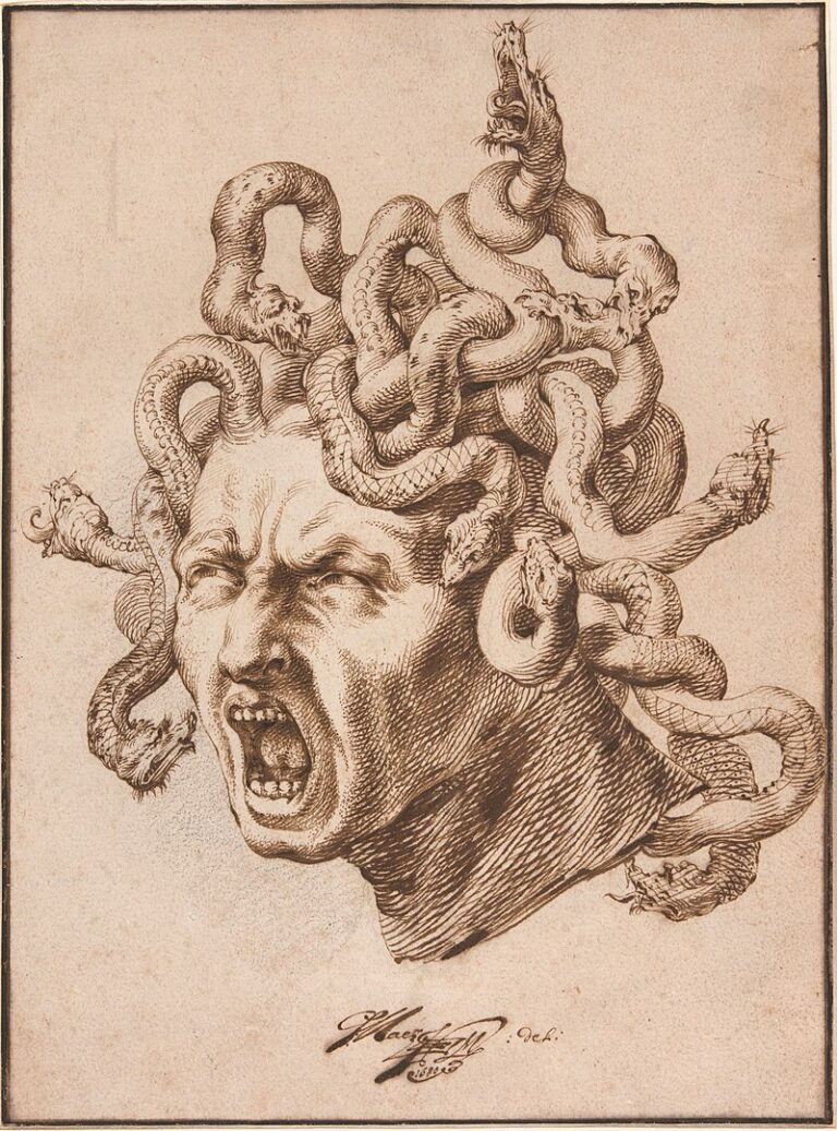 12 Weetjes over Medusa