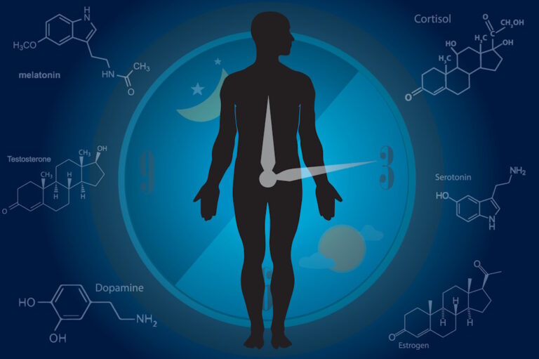 10 Weetjes over onze Biologische Klok