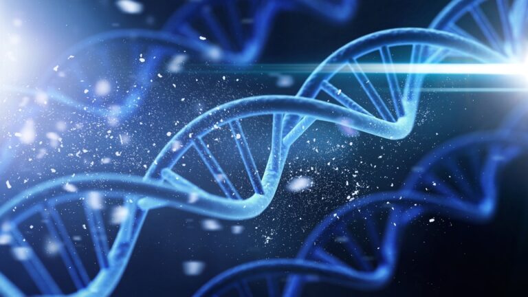 12 Weetjes over DNA – de blauwdruk van het leven