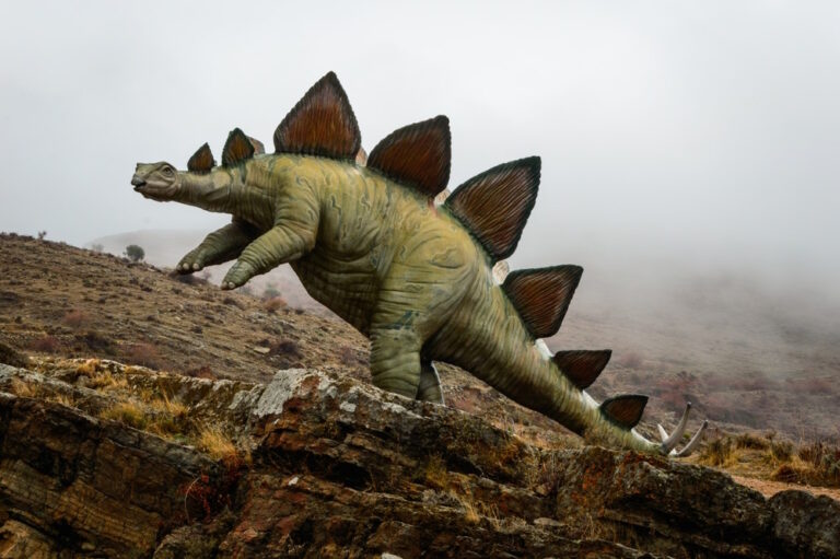 15 Interessante weetjes over de Stegosaurus