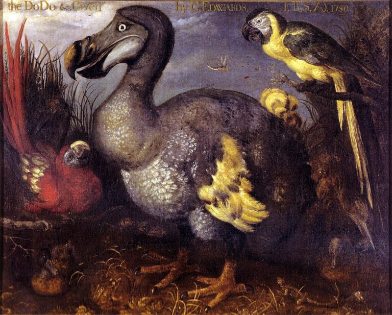 15 Weetjes over de Dodo
