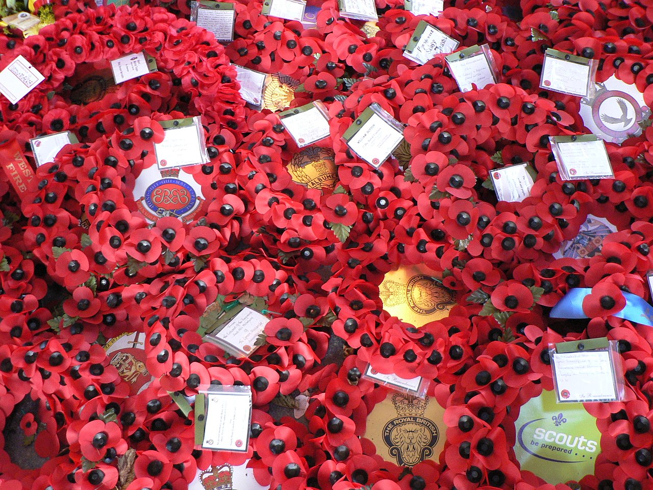In Flanders Fields