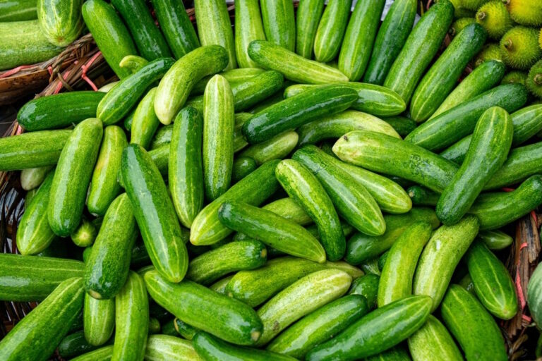 10 Leuke weetjes over Komkommers