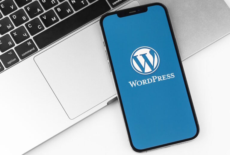 12 Weetjes over WordPress – Het populairste CMS ter wereld